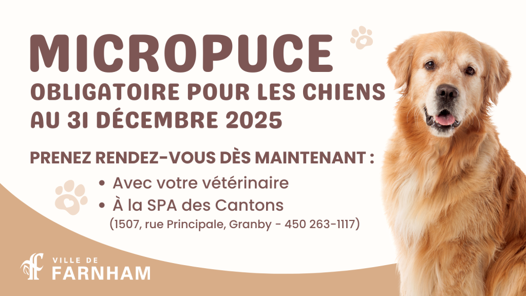 Micropuçage des chiens obligatoire au 31 décembre 2025