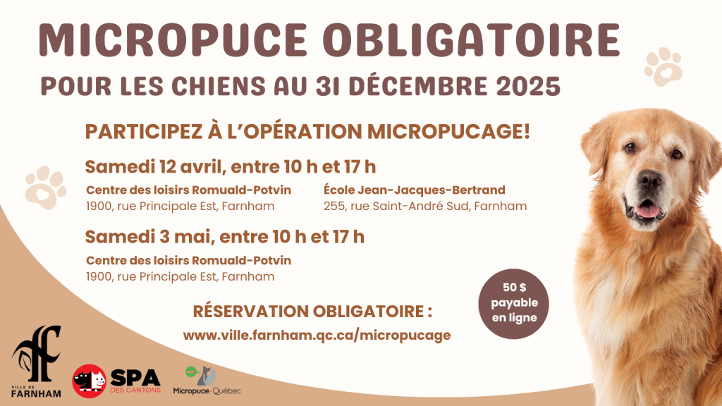 Micropuçage des chiens obligatoire au 31 décembre 2025