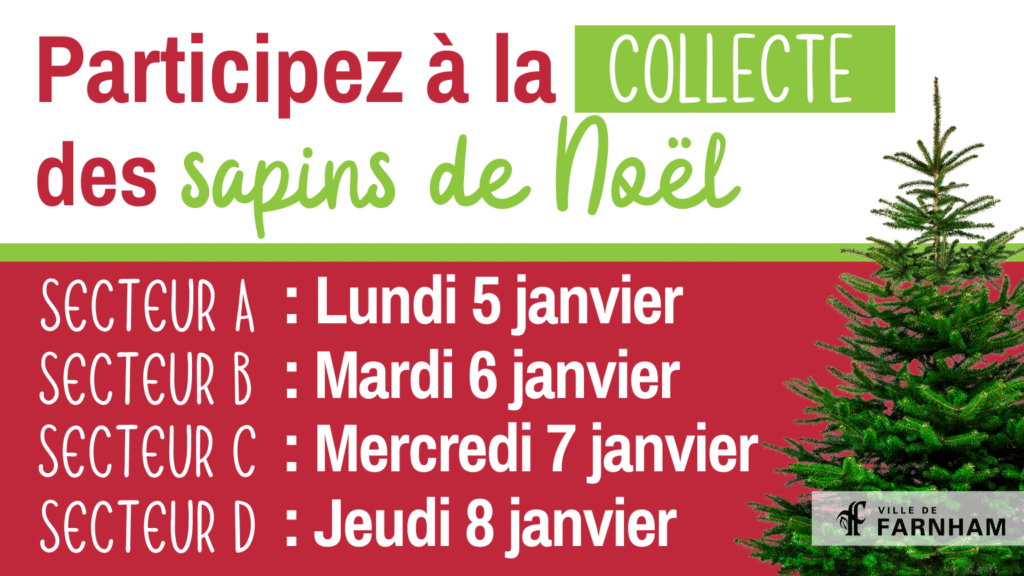 Collecte des sapins de Noël