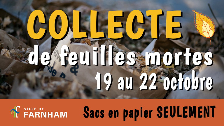 Collecte de feuilles mortes