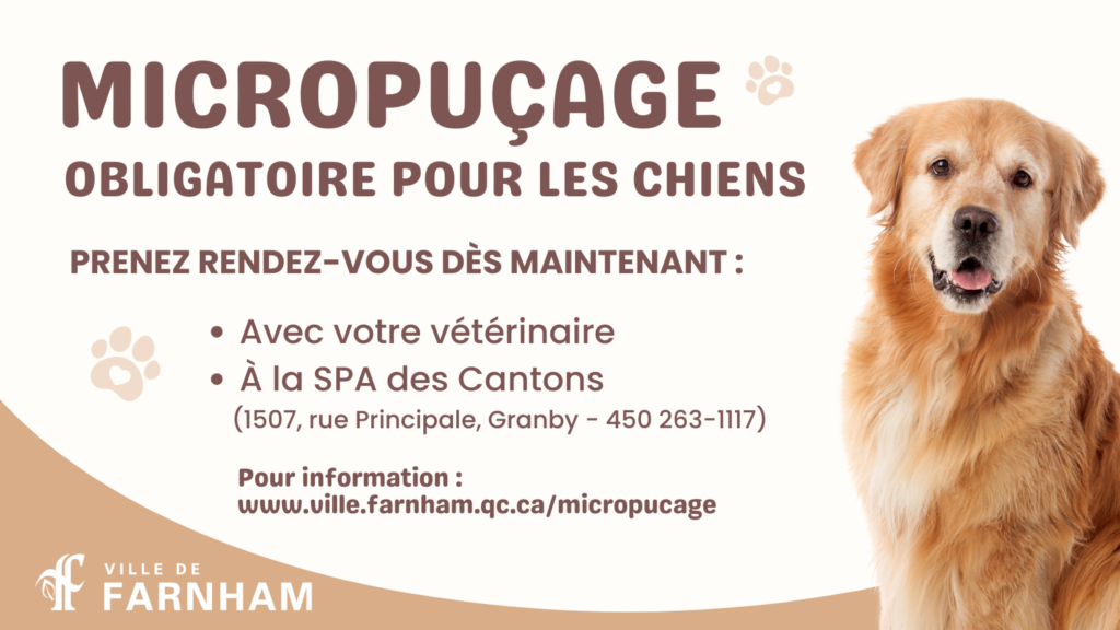 Micropuçage des chiens obligatoire